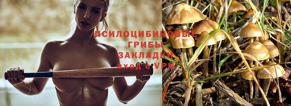 амф Переславль-Залесский