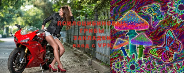 apvp Пестово