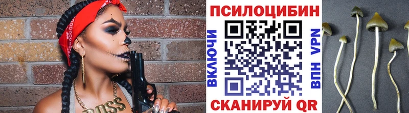 Галлюциногенные грибы мицелий  blacksprut рабочий сайт  Беломорск 